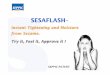 Instant Tightening and Moisture from Sesame. Try it, Feel ... · PDF fileC/3021/GB/02/August 2005 2 MARKET TREND Skin tightening agent Immediately smoothes, by a mechanical effect,