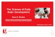 The Science of Early Brain Development - OAS Proyectos Actividad... · The Science of Early Brain Development Stuart G. Shanker Director, Milton and Ethel Harris Research Initiative