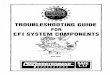 TROUBLESHOOTING GUIDE FOR E F I SYSTEM C … guide/efi... · FIREBOY, CO DETECTOR AND/OR AUXILIARY STOP CONNECTION ... ELECTRICAL TROUBLESHOOTING GUIDE The following test procedures