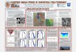 1716 - USRA-Houston · PDF filefor proper seismica may design to provide appropriate connection between interpretation of subsurface layering and structure, with surface features