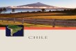 chile - Excelsior Wines | Portfolio Bookportfolio.excelsiorwines.com/wp-content/themes/responsive/pdf/CYT... · EnriquE tirado–WinEmakEr for don mElChor & Gravas dEl maipo, board
