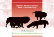 Ewe Nutrition for Lambing - · PDF fileEwe Nutrition for Lambing Introduction 02 Why is nutrition so important? 03 Understanding the problem 04 Nutritional planning 05 Tools for assessing