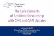 The Core Elements of Antibiotic Stewardship with CMS · PDF fileThe Core Elements of Antibiotic Stewardship with CMS and QAPI Updates Emily Lutterloh, MD, MPH Director, Bureau of Healthcare