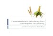 Jorgensen Considerations in calculating flour · PDF fileCountry Maize Wheat Wheat Wheat Sugar Edible oils ... Microsoft PowerPoint - Jorgensen_Considerations_in_calculating_flour_consumption.ppt