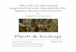 Joakim Hansen - s u/PlantsEcology_2007_4.pdf · Joakim Hansen Plants & Ecology ... preventing erosion (reviews in Hemminga & Duarte 2000, ... Schubert & Blindow 2003,