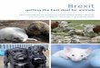 Brexit - Wildlife and Countryside Link · PDF filegetting the best deal for animals Brexit Recommendations for enhancing animal welfare, British industries, and consumer confidence