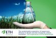The sustainable expansion of sugarcane ethanol in Brazil ...The sustainable expansion of sugarcane ethanol in Brazil and the trends for others countries -The experience of ETH · 2015-9-3