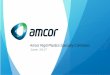 Amcor Rigid Plastics Specialty Containers · PDF fileAmericas flexible packaging market : Flexibles market roughly equivalent in size to European market but with higher projected growth