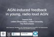 AGN-induced feedback in young, radio loud AGNpalazzi/Nepal/WEB10/Presentations/Holt.pdf · AGN-induced feedback in young, radio loud AGN Joanna Holt Leiden Observatory, Leiden University,