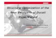 Structural Optimization of the Rear Swingarm of Ducati ... of Ducati Hypermotard. Using Altair OptiStruct, Ducati has developed an efficient structure with a high stiffness to weight
