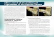 Ultrasound of the Collateral Ligaments of the Equine Tarsus · PDF fileappearance of the medial and lateral collateral ligaments of ... fasiculus of the short MCL ... Composite longitudinal