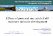 Effects of prenatal and adult EMF exposure on brain development · PDF fileEffects of prenatal and adult EMF exposure on brain development Süleyman KAPLAN Department of Histology-Embryology