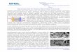 Nanomaterials for Fuel Cells - ENEA — it · PDF filenanostructures as electrocatalysts for direct methanol fuel cell, Advances in Science and Technology, 2010 ... Journal of Nanoscience