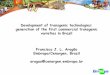 Embrapa Recursos Genéticos e · PDF fileBIOLOGIA MOLECULAR NO SUPERMERCADO Francisco J. L. Aragão Embrapa Recursos Genéticos e Biotecnologia Development of transgenic technologies: