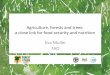 Eva Muller  · PDF fileAgriculture, forests and trees: a close link for food security and nutrition Eva Muller FAO