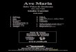 EMR 20397 Ave Maria Caccini Orchestra - alle-noten.de · PDF fileFlute Oboe B Clarinet Bassoon 1st Trumpet in B + C ... Ave Maria (Caccini) Ave Maria (Rocha) Ave Maria Païen (Plamondon
