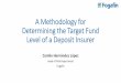 A Methodology for Determining the Target Fund Level of a ... 1_Camilo Hernandez_presentation.… · A Methodology for Determining the Target Fund ... •Provide capital support for