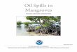 Oil Spills in Mangroves - · PDF fileecology of these forests and learning from past oil spills in mangroves, we can better plan for, protect, and respond to spills that may threaten