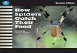 AlphaWorld How Spiders Catch Their Food - Alpha Literacy te how spiders catch.pdf · This book is called How Spiders Catch Their Food. What can you see on the front cover? What sort