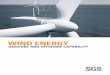 Wind Energy: Onshore and Offshore Capability - SGS S.A. · PDF fileFIDIC INTERNATIONAL FEDERATION OF CONSULTING ENGINEERS ... SUSTAINABILITY POLICIES ... Risk Management Project Based