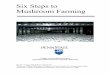 Six Steps to Mushroom farming - VIDEAvidea.ca/.../2015/07/Six-Steps-to-Mushroom-farming.pdf · 2nd Edition Preface The second edition of Six Steps to Mushroom Farming recognizes that