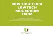 How To Set Up a Low Tech Mushroom Farm - Homepage - · PDF file• Why low-tech mushroom farming is the easiest method ... How To Set Up A Low Tech Mushroom Farm. Imagine being able