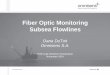 Fiber Optic Monitoring Subsea Flowlines - MTS: MTS Home Subsea Leak... · Omnisens is a world leader in high performance fiber optic monitoring. ... to one fiber to monitor ... Fiber
