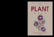 plantcell 22 12  · PDF fileplantcell_22_12_cover.qxd 1/18/11 2:11 PM Page 1. ... Paulo Arruda Motoyuki Ashikari ... Boulos Chalhoub Michel Chalot