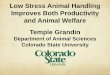 Department of Animal Sciences Colorado State University · PDF fileLow Stress Animal Handling Improves Both Productivity and Animal Welfare Temple Grandin Department of Animal Sciences