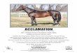 ACCLAMATION - · PDF fileACCLAMATION Unusual Heat—Winning in Style, by Silveyville 2011 Eclipse Award Champion Older Male California Horse Of The Year California Champion Older Horse