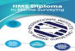 2011/2012 IIMS Diploma 2011-12.pdf · 2011/2012 IIMS Diploma in Marine Surveying ... Yacht & Small Craft, Engineering, Commercial and Cargo I N T E R N A T I ... • Container Stuffing