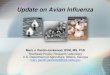 Update on Avian Influenza - N.C. Department of Agriculture ... · PDF fileUpdate on Avian Influenza Mary J. Pantin-Jackwood ... origin of human infections because of the genes of the