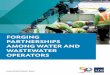 Forging Partnerships Among Water and Wastewater · PDF fileinﬂ uencing project design. Water utilities are at the ... Infrastructure investments in water supply and ... Forging Partnerships