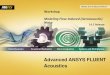 Advanced ANSYS FLUENT Acoustics - Mr-CFDdl.mr-cfd.com/tutorials/ansys-fluent/FLUENT-acoustics-Tut2-FWH.pdfAdvanced ANSYS FLUENT ... (aeroacoustic) noise using ANSYS FLUENT's acoustics