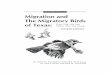 Migration and the Migratory Birds of Texas: Who They Are ... · PDF fileMigration and the Migratory Birds of Texas: ... This booklet is intended to be used by the general public as