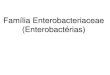 Família Enterobacteriaceae (Enterobactérias) · PDF fileFamília Enterobacteriaceae Shigella Salmonella Yersinia Escherichia coli Klebsiella pneumoniae Proteus Serratia Enterobacter