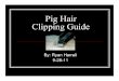 Pig Hair Clipping Guide - Harrell Family Farmharrellfamilyfarm.com/.../uploads/2011/11/Pig-Hair-Clipping-Guide.pdf · When Clipping Pigs When clipping pigs remember to be: Patient
