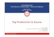Pig Production in  · PDF filePig Production in Russia Dr. Yury Kovalev, ... Pigs reared per sow per year hdhead 27 18 14 Meat production per sow per year kg 2,190 1,400 1,082