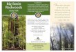 Big Basin Our Mission T Redwoods of their size and the ... · PDF fileBig Basin Redwoods State Park Our Mission The mission of California State Parks is to provide for the health,