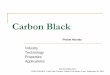Carbon Black - PROMES · PDF fileProbst Nicolas SOLHYCARB’s DAY CNRS-PROMES -1 MW Solar Furnace- Odeillo Font Romeu, Franc September 28, 2009 Carbon Black The first commercial nano-material