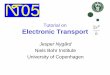 Tutorial on Electronic Transport - The Nanotube · PDF fileOur aim: Understand the two-terminal electrical transport Metal lead V I ¾Rich on exciting physics and surprising phenomena