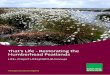 That's Life - Restorating the Humberhead · PDF fileiv That’s Life – Restoration of the Humberhead Peatlands LIFE+ Project LIFE13NAT/UK/000451 Introduction The Making Moor Space