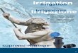 Irrigazione - supreme- · PDF fileirrigazione note: for all items of irrigation sec-tion, purchase minimum quan-tity = 1 bag or multiple bags ... elp20 20mm 100 3000 0,21 60600250
