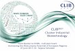 Cluster Industrial Biotechnology - · PDF fileTo establish the bioeconomy and the circular economy in industry . CLIB2021 Strategy: Structured networking process 12/06/2017 CLIB2021