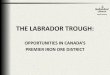 THE LABRADOR TROUGH - Newfoundland and LabradorEnglish).pdf · More than 80 billion tonnes of known iron ore resources with excellent exploration potential . Near surface deposits;