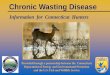 Chronic Wasting Disease presentation - · PDF fileChronic Wasting Disease Information for Connecticut Hunters Provided through a partnership between the Connecticut Department of Energy