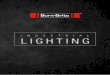 INDUSTRIAL LIGHTING - Squarespace · PDF filef Industrial factories, manufacturing and automotive workshops f Construction sites for all trades f General domestic and DIY ... Colour