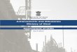 Achievements and Milestones (3 yearpibarchive.nic.in/ndagov/Comprehensive-Materials/compr49.pdf · 1 EXECUTIVE SUMMARY 5 2 INTRODUCTION AND OVERVIEW OF THE INDIAN STEEL SECTOR 10