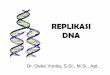 REPLIKASI DNA -   · PDF fileDNA Replication •Begins at Origins of Replication •Two strands open forming Replication Forks (Y-shaped region) •New strands grow at the forks