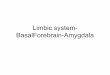 Limbic system- BasalForebrain-Amygdalazlab.rutgers.edu/classes/behaviorCogNeuro/AMY-BF-HIP.pdf · The limbic system consists of the limbic lobe and deep-lying structures. A: the limbic